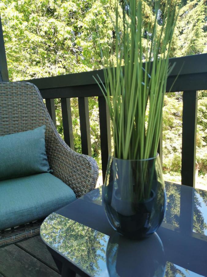 Country-Suites By Verdino Living - Apartments & Suites (Adults Only) Braunlage Eksteriør bilde